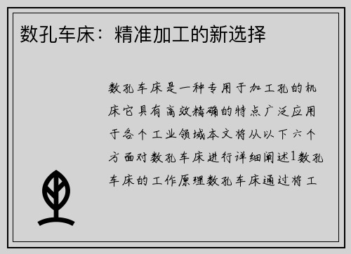 数孔车床：精准加工的新选择